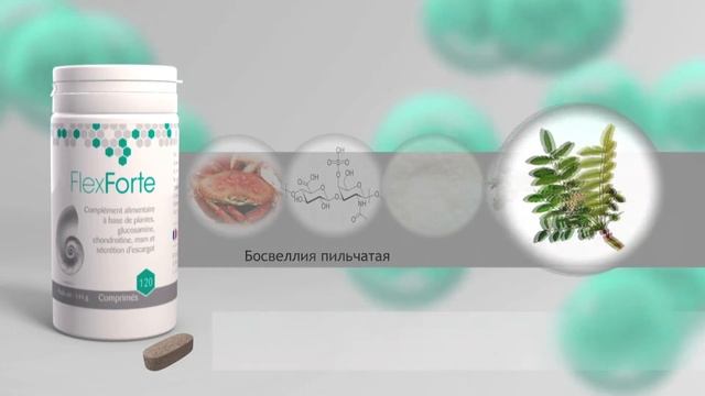 FLEXFORTE RUS
