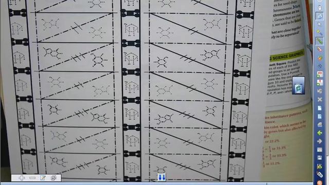 13.2 DNA Origami Part #2