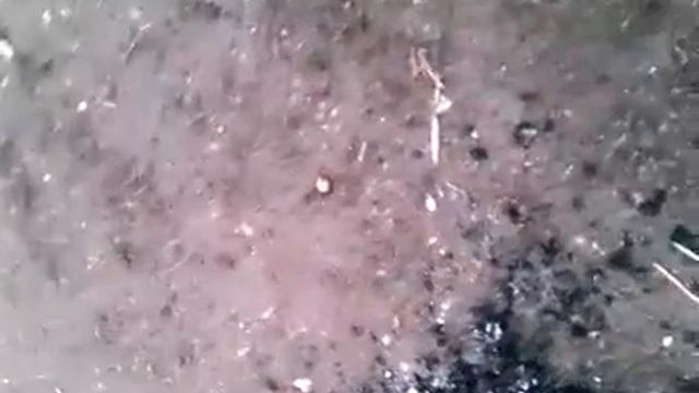 Вео 3 месяца смотреть онлайн