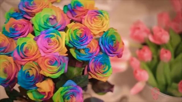 Little Flora store in Riyadh, Jeddah, Dubai смотреть онлайн