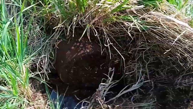 Металл дорожает 20 рублей за кг.!!! смотреть онлайн