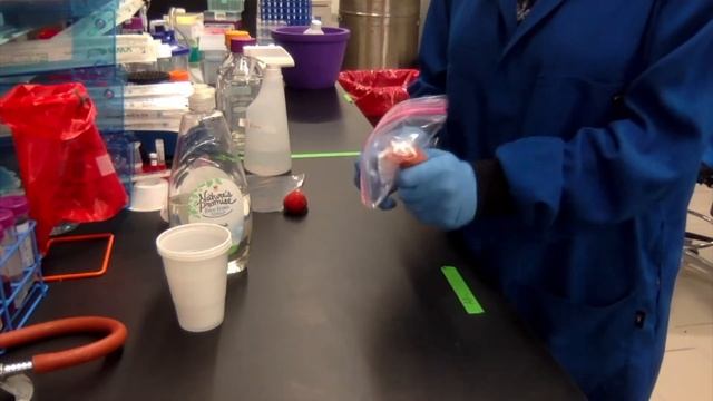 Extracting DNA from Fruit with Harvard Women in Chemistry! смотреть онлайн