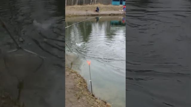 поимка смотреть онлайн
