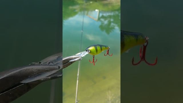 Hmkl By Jackall - Transparent Perch Pattern, Custom Painted By Tase Lures