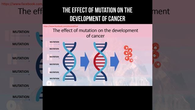 The effect of mutation on the development of cancer #mutation #cancer #dna смотреть онлайн