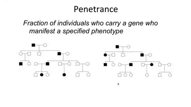 Mendelian Inheritance
