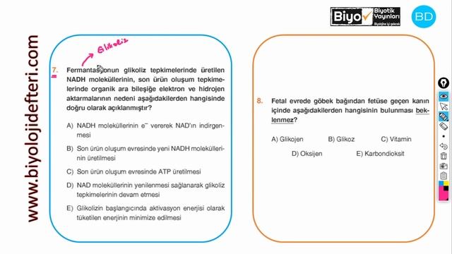 BİYOTİK YAYINLARI AYT DENEME SORU ÇÖZÜMLERİ#12 смотреть онлайн