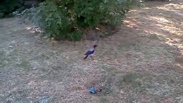 Слеток 2 - слеток, которого не нужно спасать смотреть онлайн