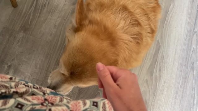 Волнуюсь - Слишком далеко! 😩НЕ ВЛЕЗ! 3 месяца Ванюше 🎂VLOG смотреть онлайн