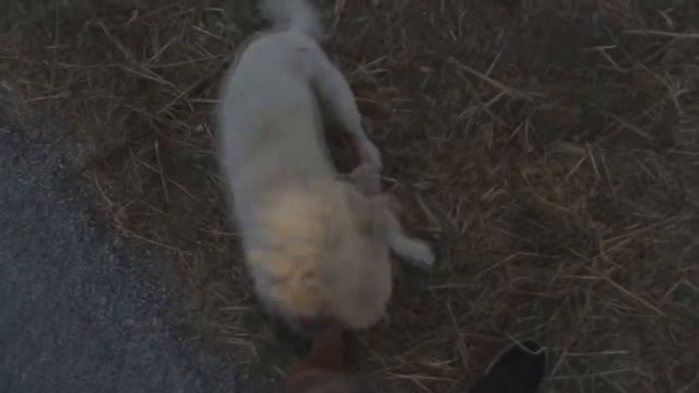 The Police - Every Breath You Take (Deep Chills Remix) смотреть онлайн