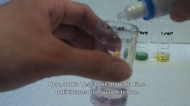 Neocaridina Shrimp Tank Part 2 - How To Test Water Parameter смотреть онлайн