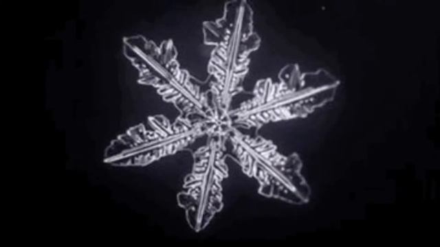 28 февраля 2021 г. смотреть онлайн