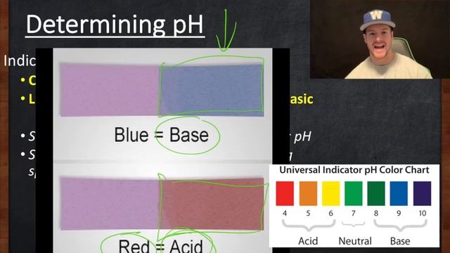 1.8 Acids and Bases смотреть онлайн
