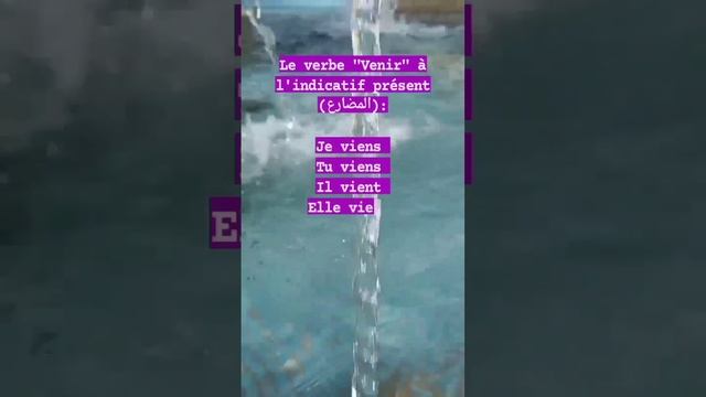 Le verbe "Venir" à l'indicatif présent (المضارع) смотреть онлайн