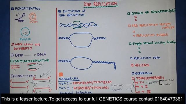 DNA Replication 🧬 | Cell Biology And Genetics | Biochemistry | Bangla