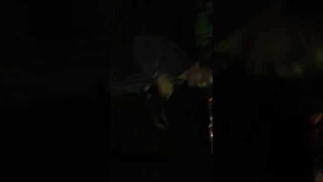 Клип с одного дубля смотреть онлайн