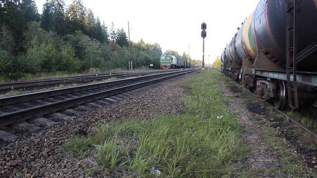 Тепловоз М62-1538 и другие поезда на станции Торошино смотреть онлайн