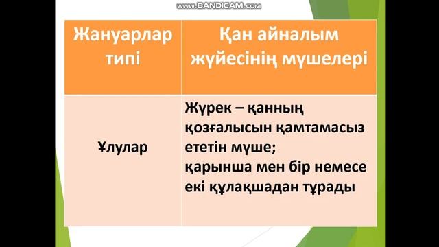 Жануарлардың жүрегінің құрылысы және қан тамырларының құрылысы мен қызметі смотреть онлайн
