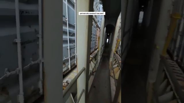 Привыкли к океану? Уже ничего не страшно тем, кто подписан? смотреть онлайн