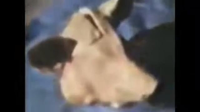 The Punk Rock Movie Full 1978 Movie    Don Letts