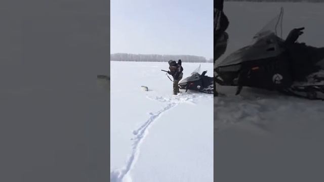 Контузия у зайца смотреть онлайн