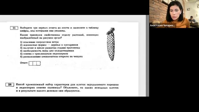 26.01 3 гр ботаника органы