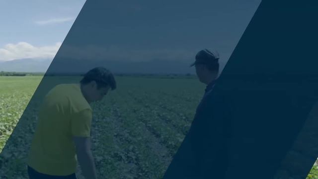 АГРОМАРТ смотреть онлайн