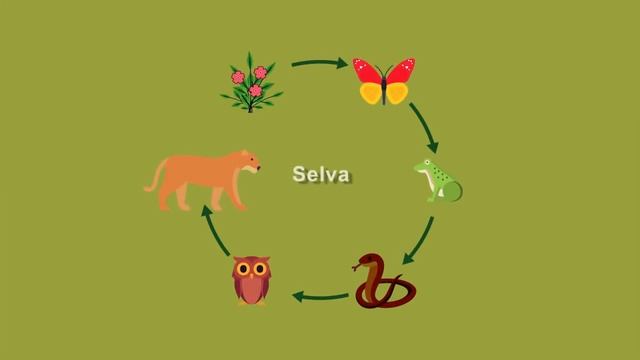 22. Al gato y al ratón смотреть онлайн