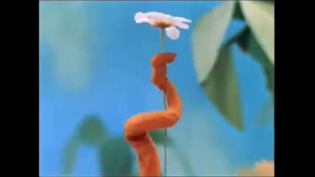 Thirty-Eight Parrots