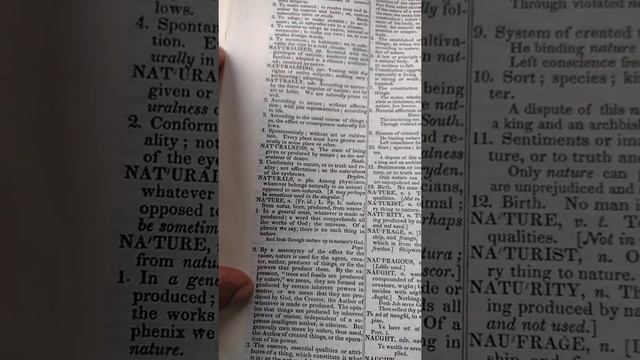 khandrop 2022 | WHAT IS A NATIVE 🌋🌋 PART 1 смотреть онлайн