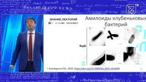 Инфекционные белки. Прионы и амилоиды. Патогенез и разнообразие функций