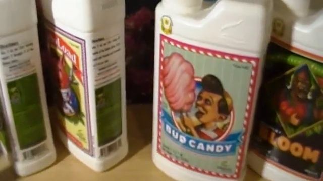 21+only..Advanced nutrients,general organics & bud boosters смотреть онлайн
