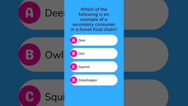 Forest food chain: which is a secondary consumer? смотреть онлайн