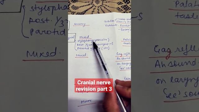 cranial nerve revision part 3 смотреть онлайн