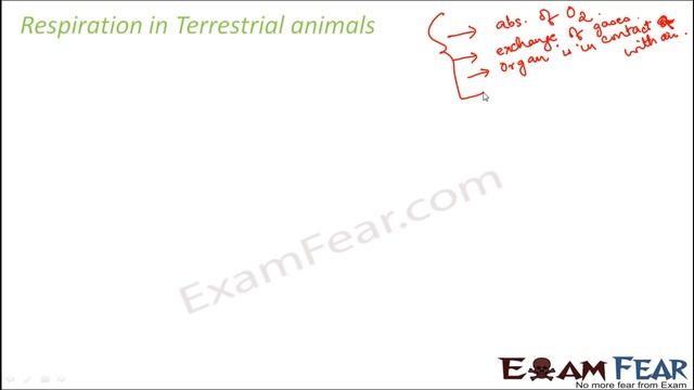 Biology Respiration in Organisms Part 18 (Respiration in Terrestrial Animals) Class 7 VII смотреть онлайн