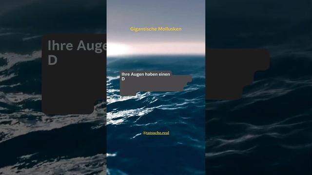 Gigantische Mollusken смотреть онлайн