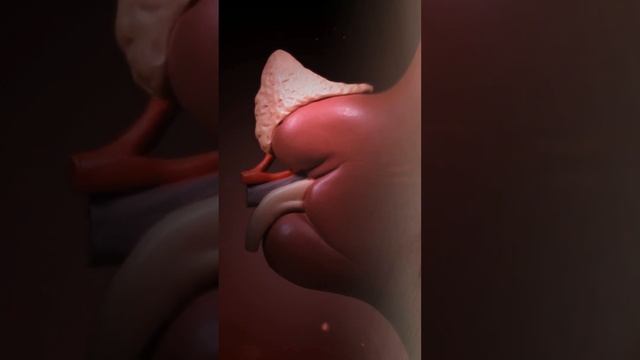 5 Signs Your Kidneys Need Help | Watch Out For This Signs смотреть онлайн