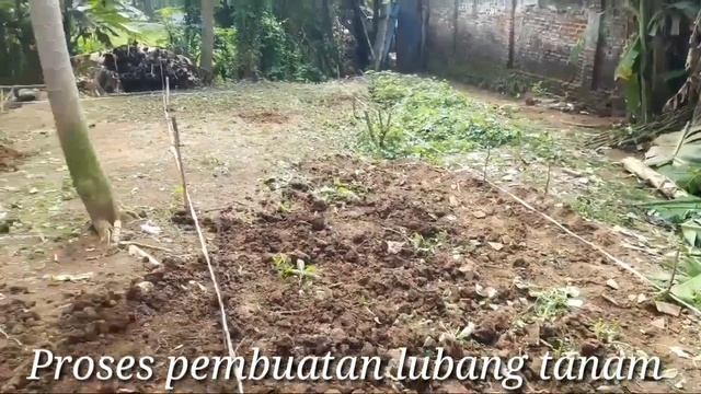 #LAYANANANTARTANAM(LANTANA) смотреть онлайн