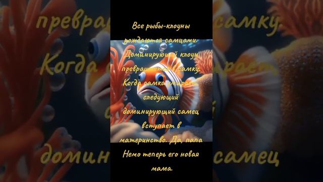 Рыба-клоун. #рыба #смешно #морские обитатели😉😳🔥 смотреть онлайн
