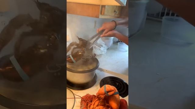 تفتكر ليه الطباخين بيطبخ الاستاكوزا حيه في المياه المغليه 😱 смотреть онлайн