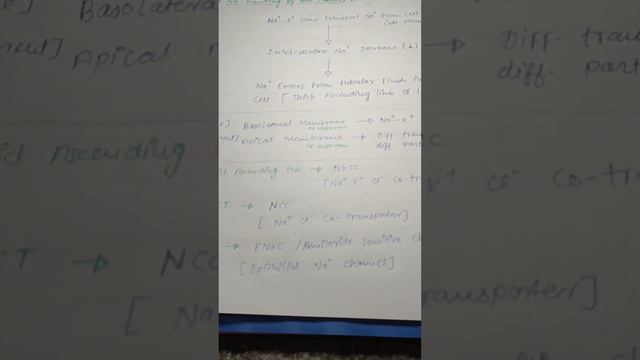 Excretory system acid-base balance, Physiology Mbbs смотреть онлайн