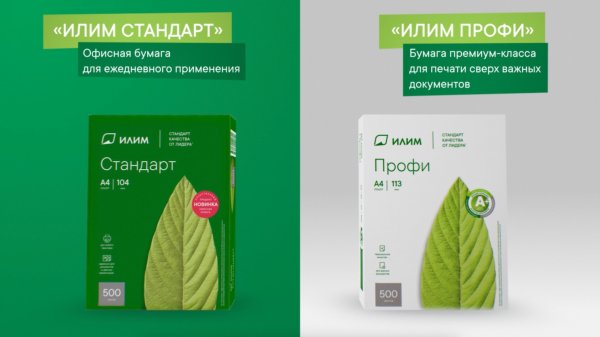 Офисная бумага ИЛИМ