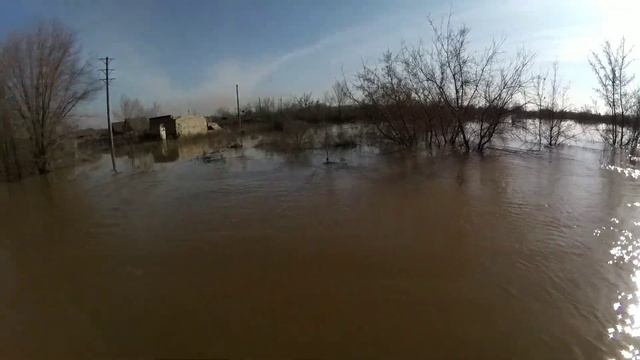 река Урал вышла из берегов подъём 740 см смотреть онлайн