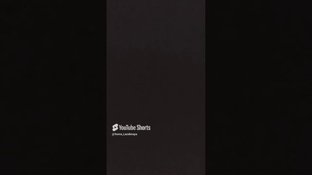 11 ноября 2024 г. смотреть онлайн