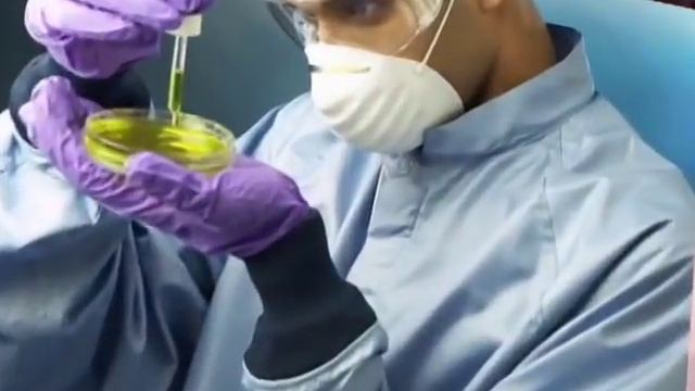Junk DNA смотреть онлайн