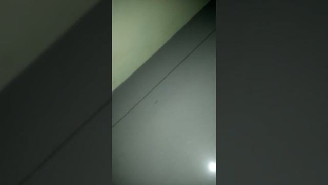 Sharanam green hotel calanguate...a worst place to stay смотреть онлайн