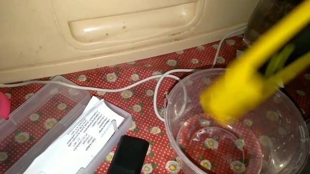 Cara Kalibrasi pH meter sebelum di gunakan ke bioflok hidroganik & hidroponik#phmeter #kalibrasi смотреть онлайн