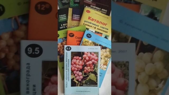 @ Введение в БРОШЮРЫ и книгу. " НОВЫЕ УСТОЙЧИВЫЕ ... " смотреть онлайн