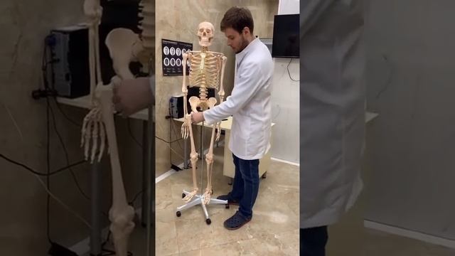 Причина болей в спине при патологии тазобедренных суставов