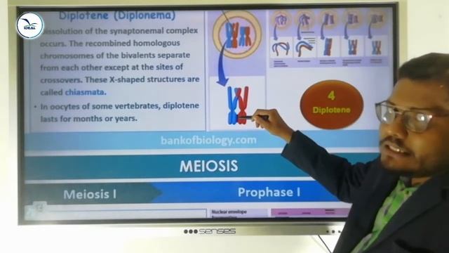 PLUS ONE BOTANY Cell Cycle & Cell Division Part 2
